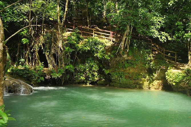 Blue Hole Tour From Montego Bay - Rope Swinging Activity