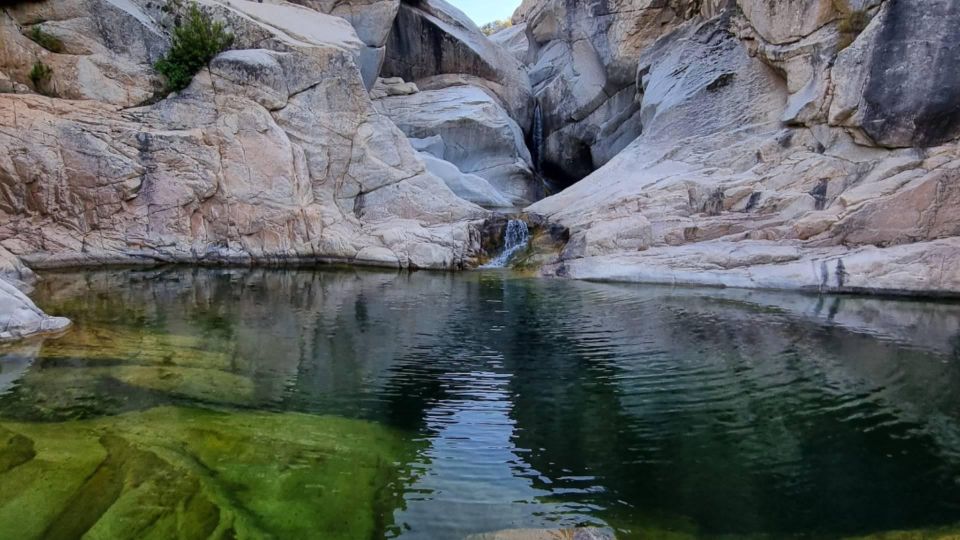 Blue Zone: Tour Among the Secrets of Sardinians Longevity - Cooking Experience With Local Family