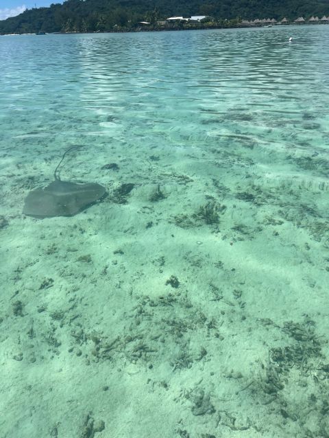 Bora-Bora: Snorkeling Spot and Tahitian Oven at Matira Beach - Polynesian Buffet on Matira Beach