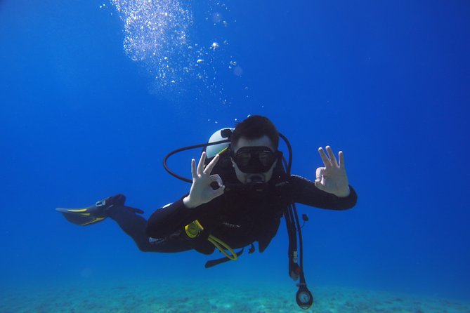 BRELA Bikini Dive *Try SCUBA DIVING* - Accessibility for All Visitors