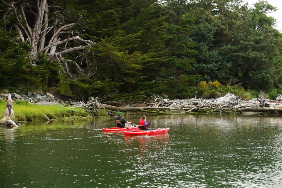 Brookings: Chetco River Kayak Tour - Booking and Contact Information