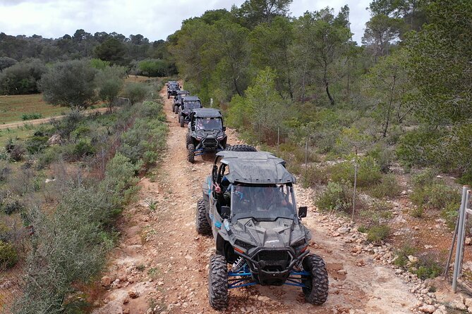 Buggy 2-seater and 4-seater Off-On Road Tour in Mallorca - Island Exploration