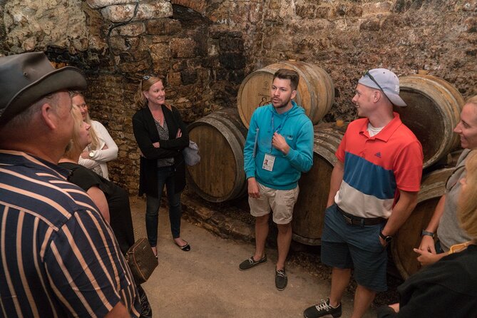 Burgundy Wine Tasting Small-Group Tour in Chablis From Paris - Participant Information