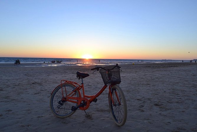 Cadiz Small Group Bike Tour - Accessibility and Suitability