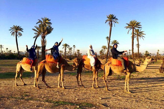 Camel Ride and Spa Treatment in Marrakech - Pickup and Drop-off Locations