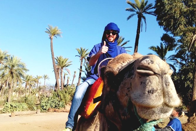 Camel Ride in Marrakech With Hotel-Pick up and Drop-Off Included - Air-Conditioned Vehicle Transport