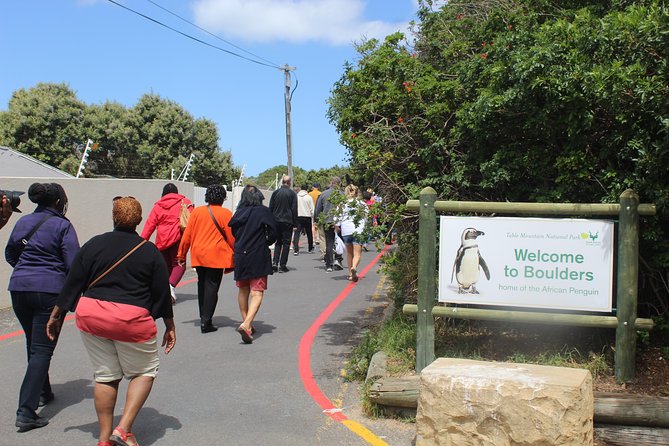 Cape of Good Hope, Penguins Private Tour From Cape Town Full Day - Scenic Coastal Routes