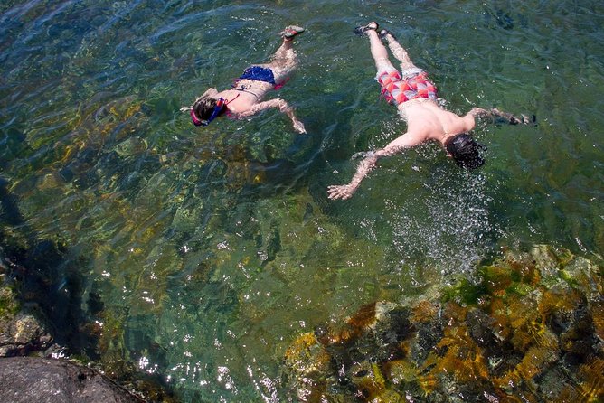 Cape Peninsula With a Marine Biologist - About the Tour Operator