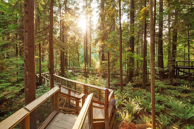 Capilano Suspension Bridge Park Ticket - Visitor Information