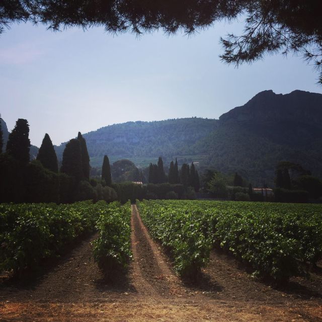 Cassis Wine Tour: Sea, Cliffs and Vineyards - Hiking Trails and Sightseeing