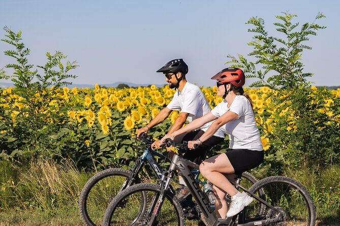 Castiglion Fiorentino - Ebike Tour and Wine Tasting [+40€] - Tasting Experience With Sommelier