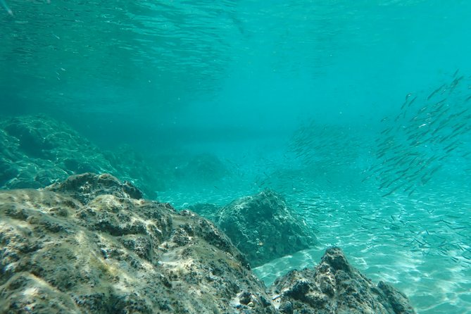 Certified Guided Reef Dive in St Thomas - Depth and Dive Duration