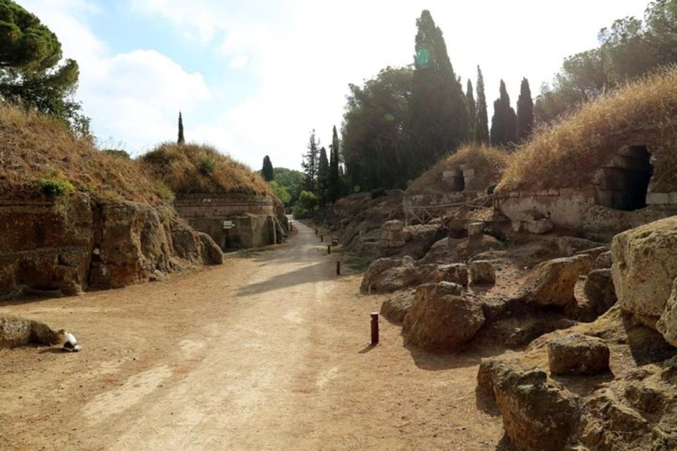 Cerveteri & Tarquinia Private Tour From Rome - Frequently Asked Questions