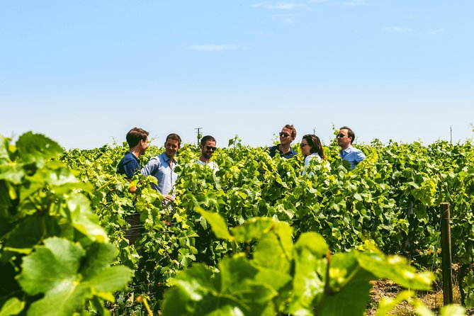 Champagne Small-Group Tour With Tastings and Lunch From Epernay - Policies