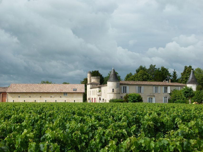 Château Cruzeau Winery Tour With Wine and Chocolate Tasting - Sustainability Commitments