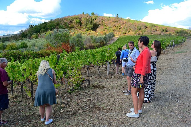 Chianti Classico and Super Tuscan 3 Winery Tour - Personalized Small Group Experience