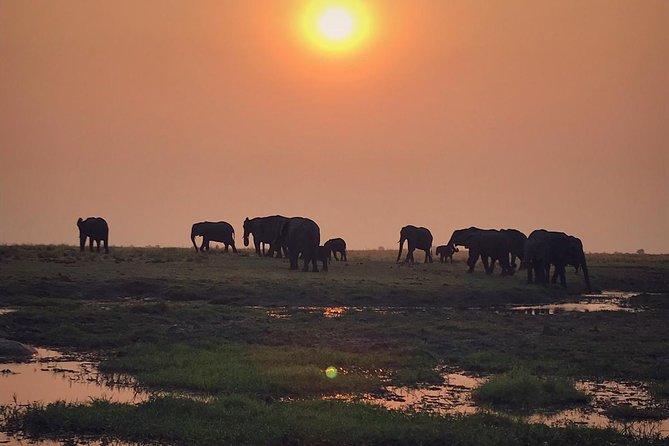 Chobe 3hr Sunset Boat Cruise - Operating Hours and Accessibility