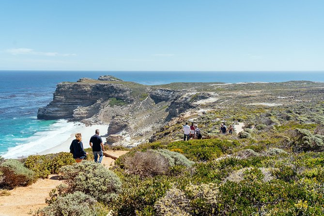 City Escape: Cape Peninsula Private Day Trip - Cancellation and Confirmation