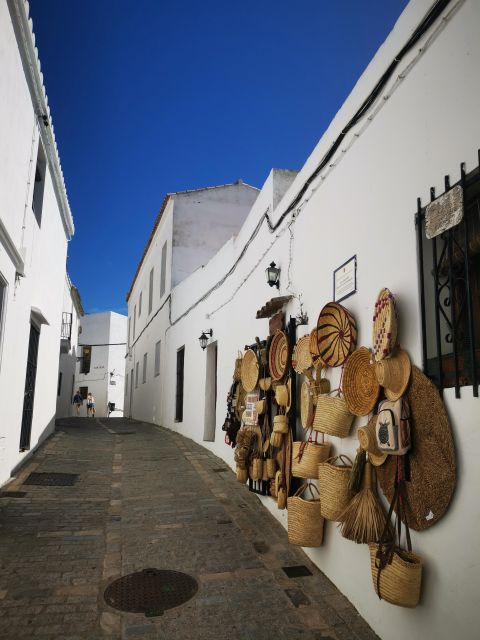 Coastal White Villages and Beaches Private Tour From Seville - Highlighting Regions History and Culture