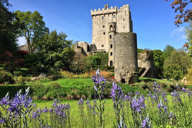 Cobh (Cork) to Blarney Castle & Kinsale - Shore Excursion - Exploring Blarney Castle