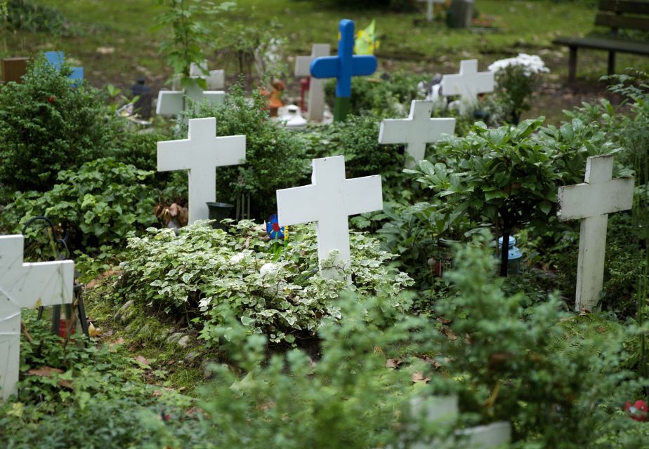 Cologne: Melaten Cemetery With Old Town Private Tour - Discovering Old Town Highlights