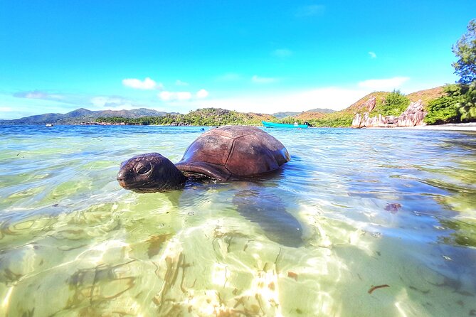 Curieuse and St Pierre Island Excursion Island BBQ Included - Booking and Reservation