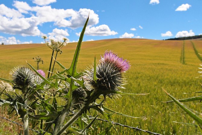 Cycle To Loch Ness - Self Guided - Pace and Duration