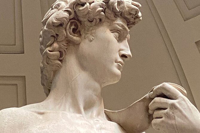 DAVID and Accademia Gallery Private Tour in Florence - Michelangelos David