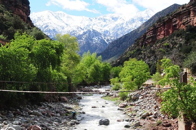 Day Excursion to Atlas Mountains From Marrakech - Lunch and Drinks Included