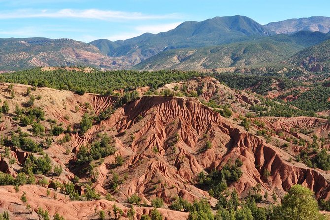 Day Excursion To Ourika Valley and High Atlas From Marrakech: Shared - Inclusions and Logistics