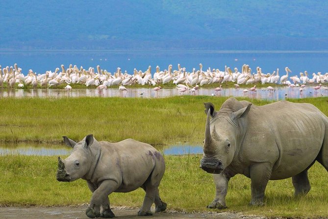 Day Tour To Lake Nakuru Park With Optional Boat Ride on Lake Naivasha - Exclusions and Fees