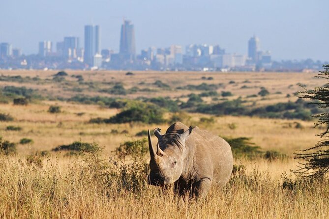 Day Tour to Nairobi National Park and Giraffe Center - Pricing and Reviews