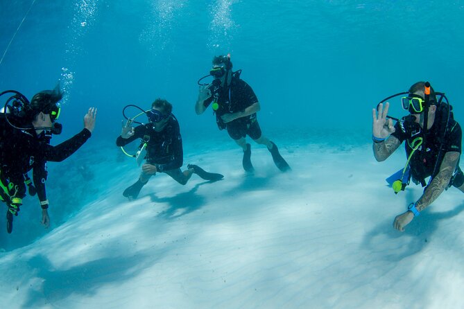 Discover Scuba Dive - Tour Highlights and Key Features