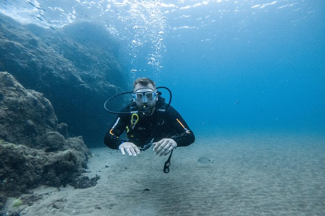 Discover the Underwater World of Lanzarote - Traveler Requirements