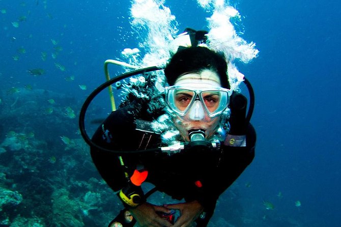 Diving in the Mediterranean Sea - Cancellation and Refund Policy