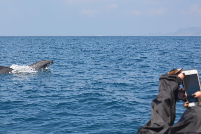 Dolphin Watching and Boat Tour in Sesimbra - Exploring the Marine Area