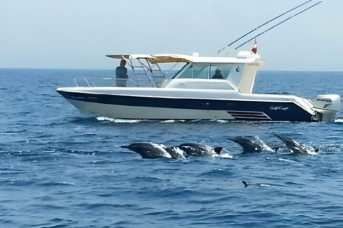 Dolphin Watching and Snorkeling Activity in Muscat - Group Size and Capacity