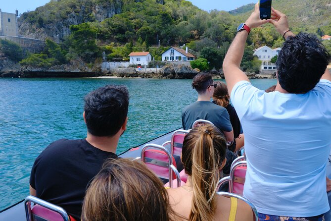 Dolphin Watching in Setúbal - Tour Highlights