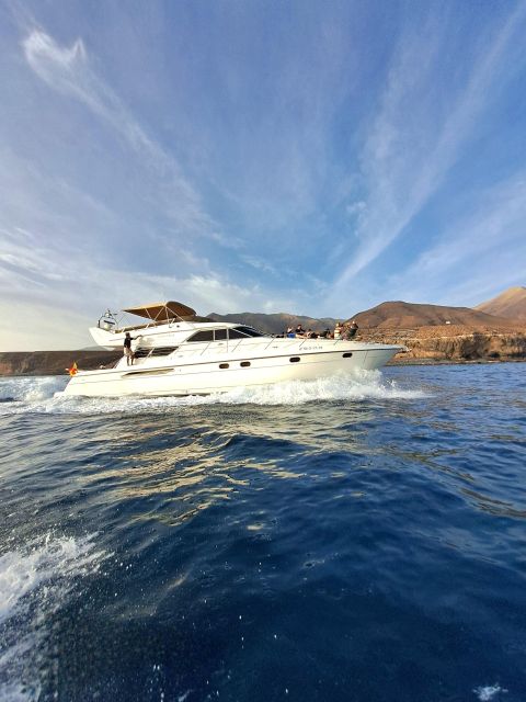 Dolphin & Whale Watching With Luxury Yacht - Explore the Southern Region