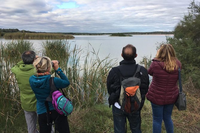 Doñana National Park and El Rocío: Guided Tour From Seville - Transportation Details