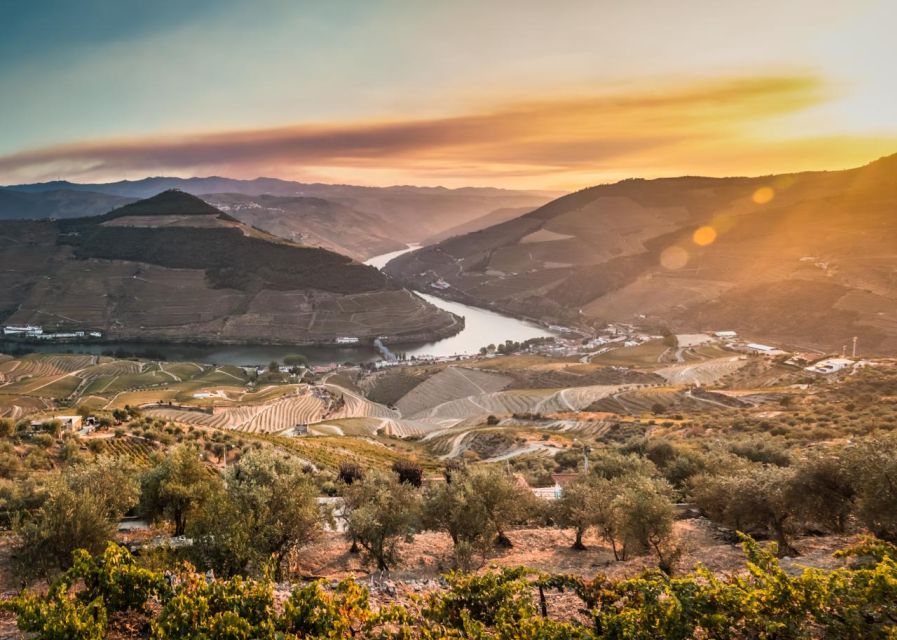 Douro Valley: 1 Day Landscape Photo Tour - Flexible Booking and Pricing