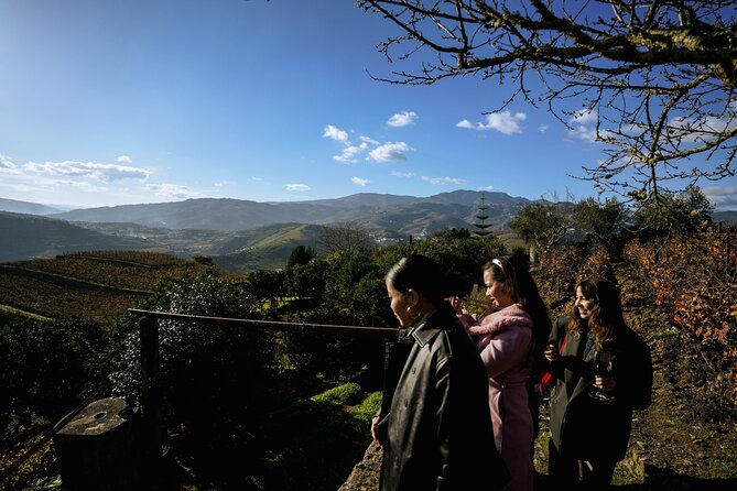 DOURO VALLEY in 8 Pax Groups W/ 2 Wineries, Lunch and 1h Cruise - Winery Visits