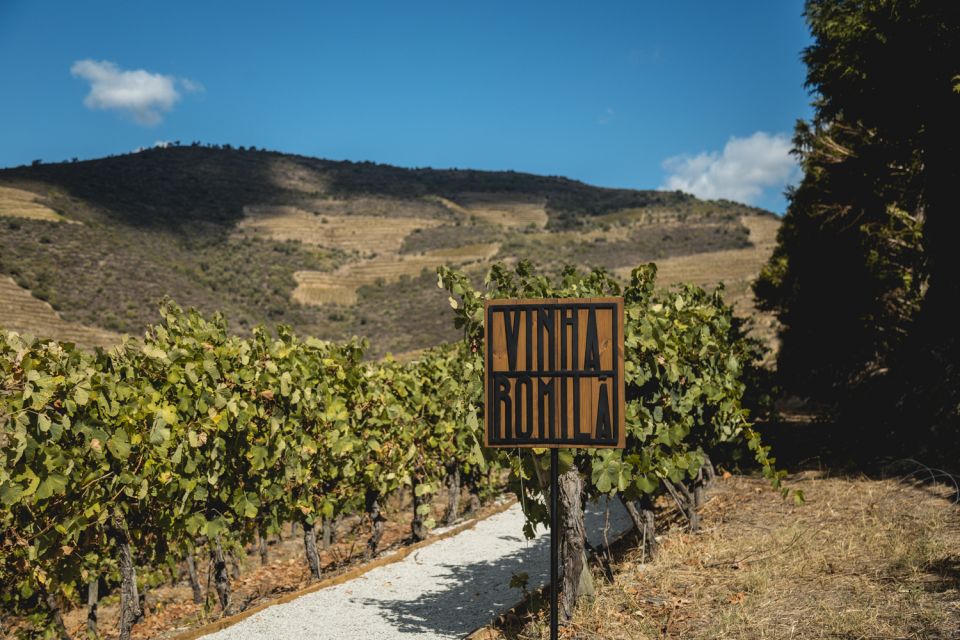 Douro Valley: Quinta De S. Luiz Winery Tour and Tasting - Accessibility and Recommendations