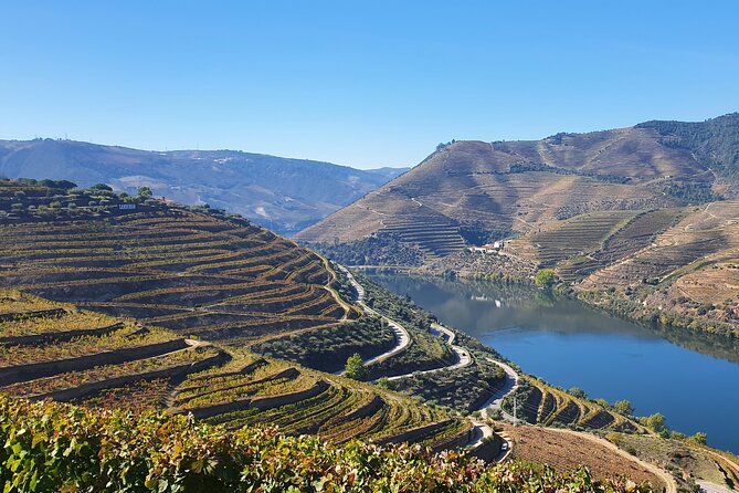 Douro Valley Tour: Wine Tasting River Cruise and Lunch From Porto - Language Options