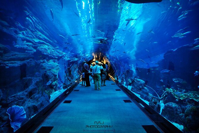 Dubai Aquarium & Underwater Zoo - Accessibility and Amenities