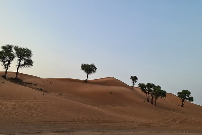 Dubai Desert 4x4 Dune Bashing, Self-Ride 30min ATV Quad, Camel Ride,Shows,Dinner - Dune Bashing Experience