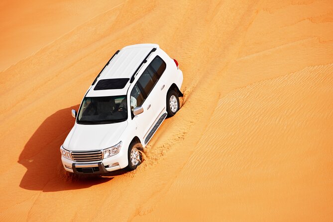 Dubai Sunrise Desert Safari - Camel Riding Adventure