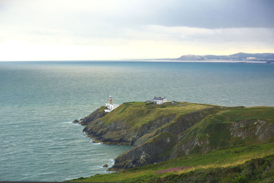 Dublin: Full-Day Howth and Malahide Castle Tour - Customer Reviews and Ratings