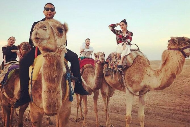 DXB Morning Desert Safari With Camel Ride & Sand Boarding - Camel Riding Opportunity