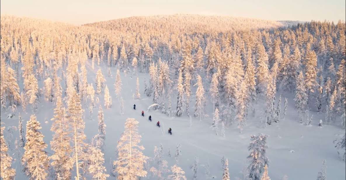 E-Fatbike Experience in Small Groups - Explore the Snowy Trails